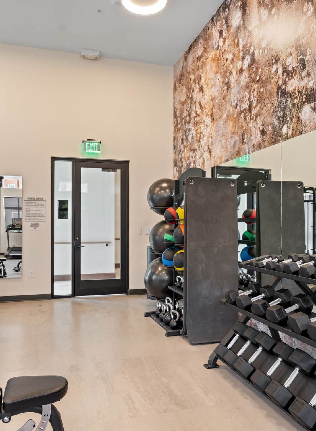 Modern gym room with weight racks, workout machines, mirrors, and colorful exercise balls.