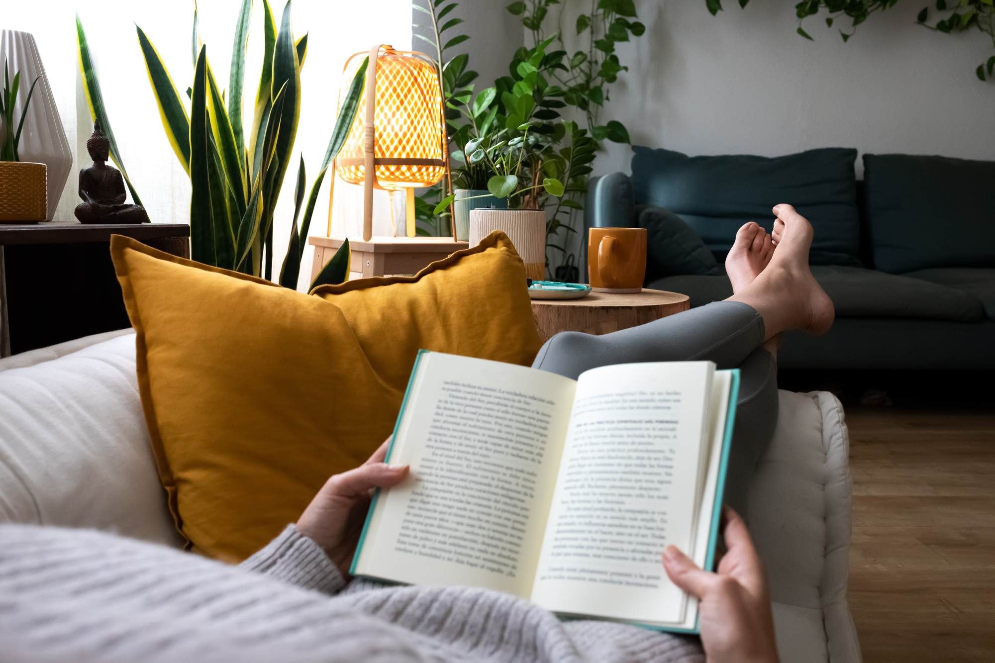 Person reading a book on a cozy sofa with yellow pillow, surrounded by plants in a bright living room.