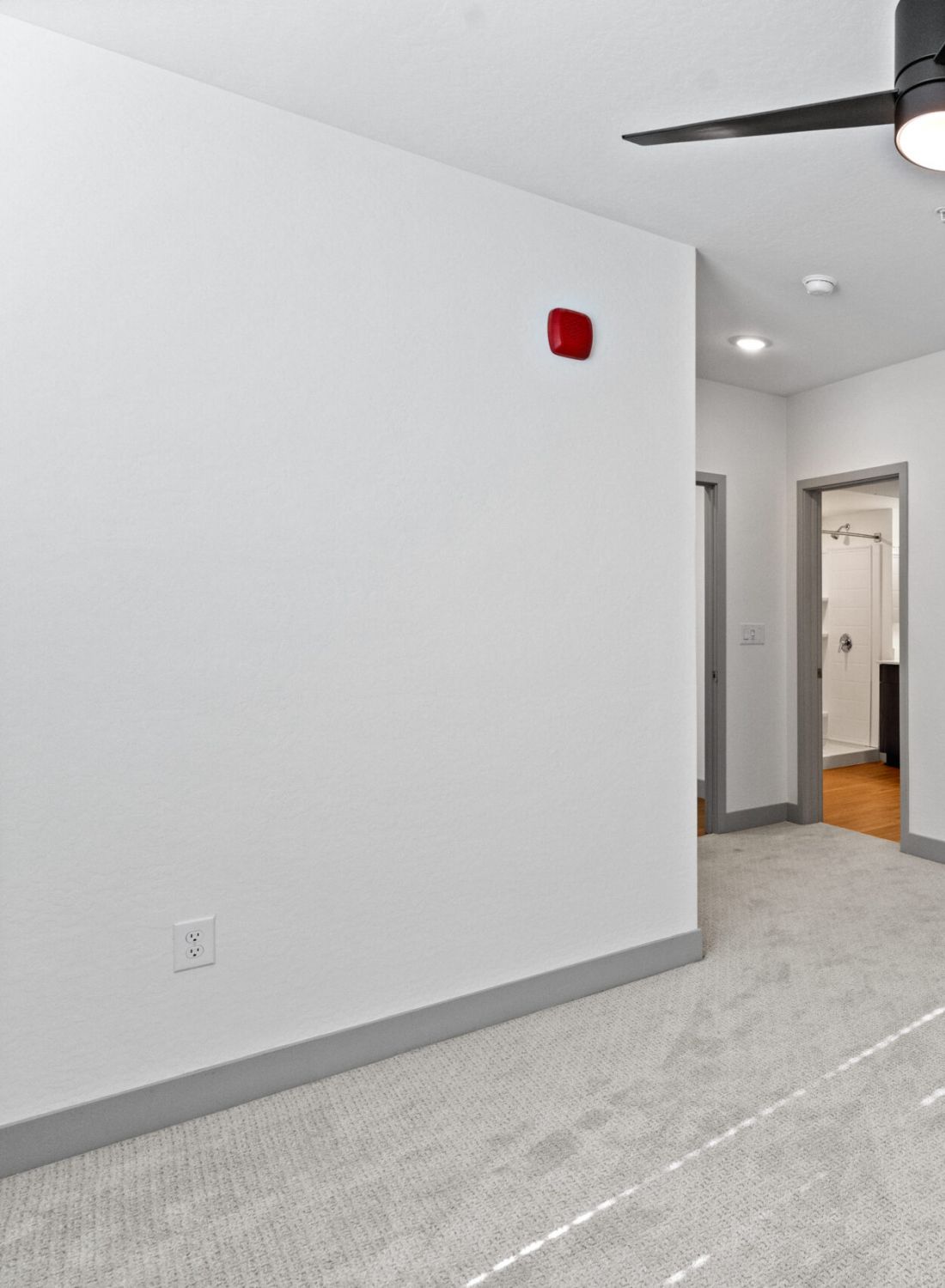 Empty room with white walls, a ceiling fan, grey door, carpeted floor, and a doorway to a bathroom.